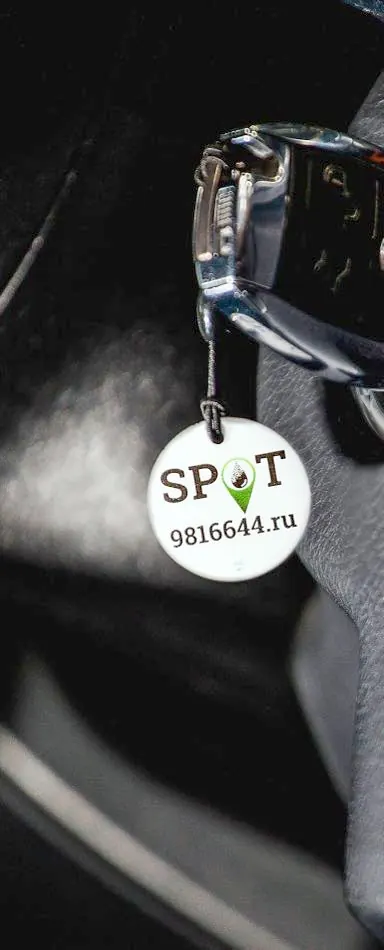 Станция SPOT